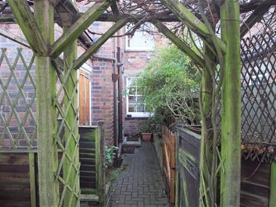 Picture 20